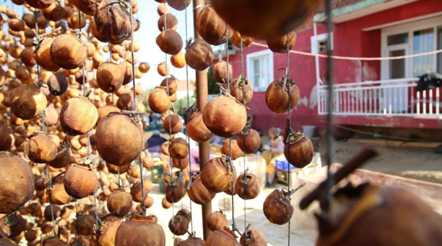 Bahçeden toplayıp sobada 2 ay kuruttuktan sonra kilosunu 600 liraya satıyorlar