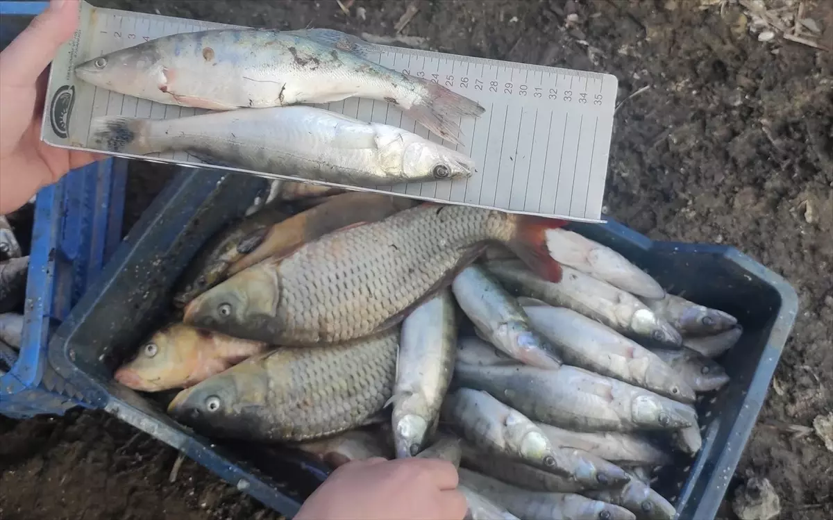 Beyşehir\'de Özel Gereksinimliler İçin Spor Etkinliği