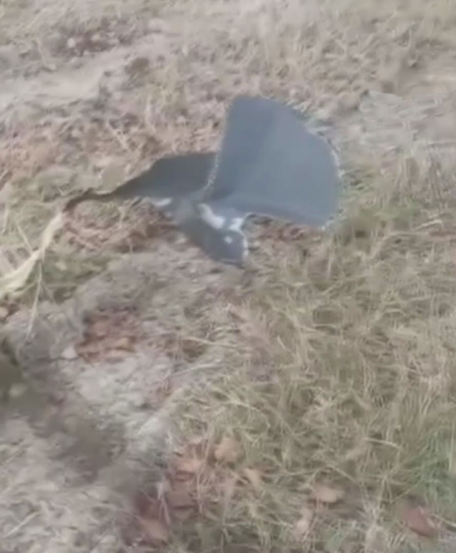 Gürcistan'da düşen askeri kargo uçağının parçalarına ulaşıldı