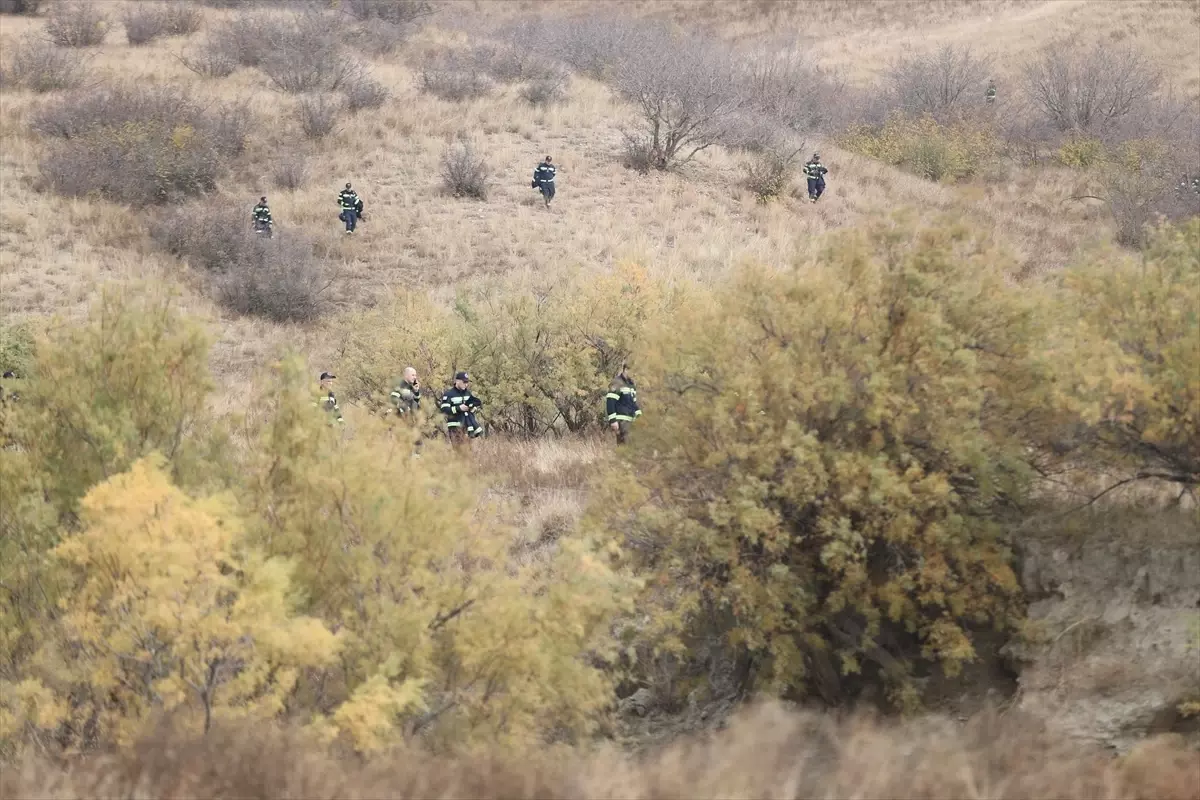 Gürcistan: Düşen askeri kargo uçağıyla ilgili soruşturma Türkiye ile koordineli yürütülüyor