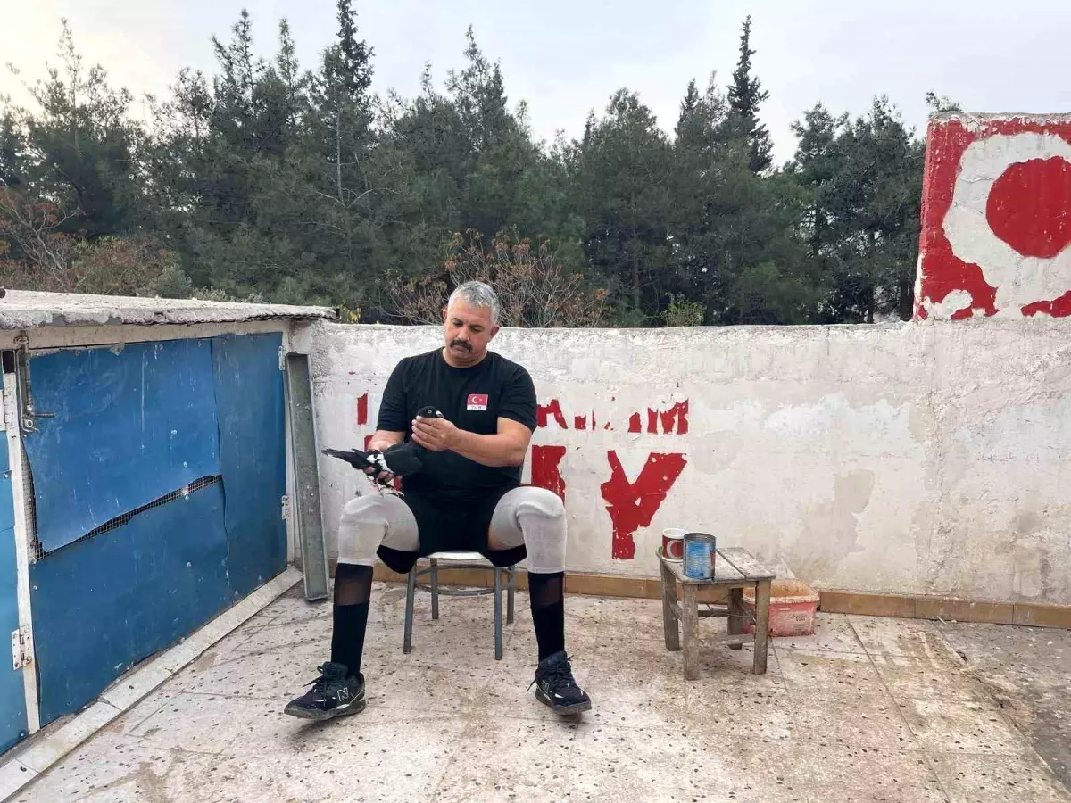 Gazinin Güvercin Sevgisi: Hayata Bağlanma