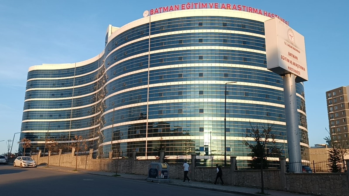 Fidan Dikerken Kayalıklardan Düşen Adam Ağır Yaralandı