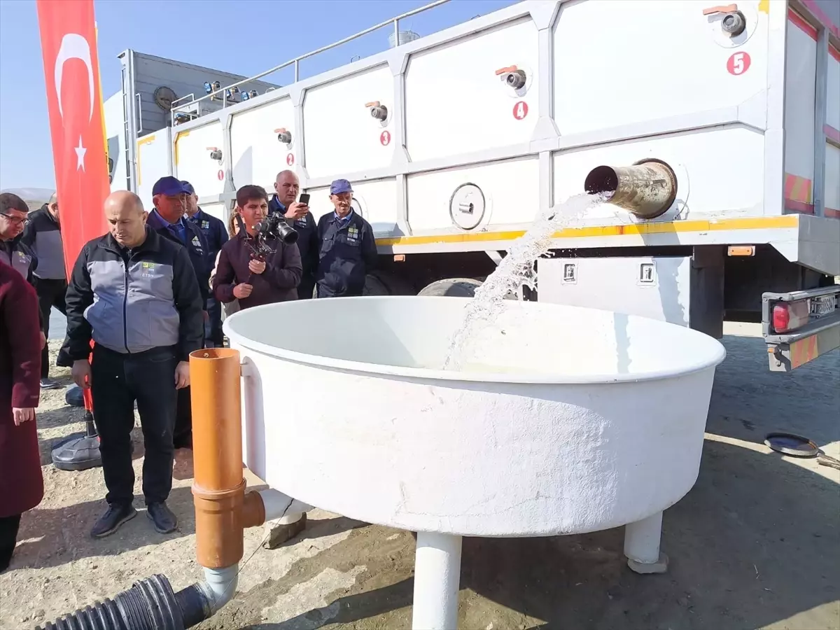 Elazığ\'dan Nahçıvan\'a Sazan Yavrusu Gönderildi