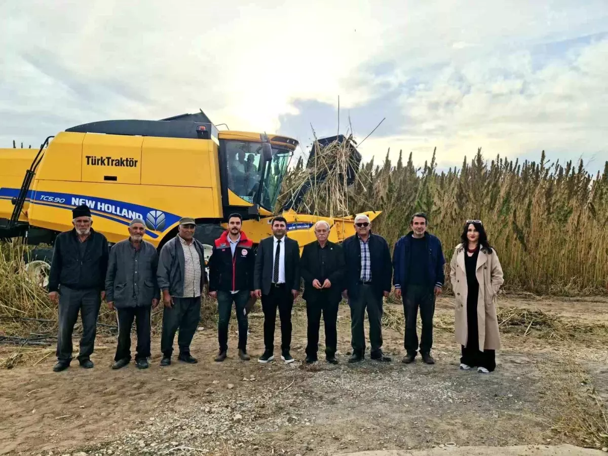 Kulu\'da Endüstriyel Kenevir Hasadı Başladı