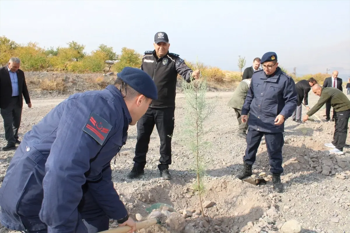 Malatya\'da Ağaçlandırma Etkinliği