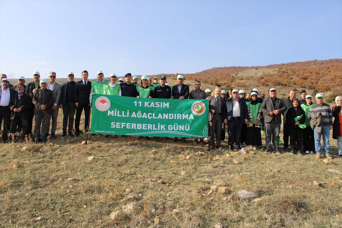 Mecitözü\'nde Fidan Dikim Etkinliği