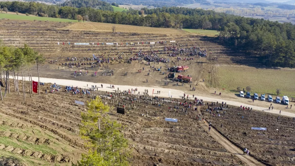 Sakarya\'da Kaçakçılık Operasyonu: 3 Gözaltı