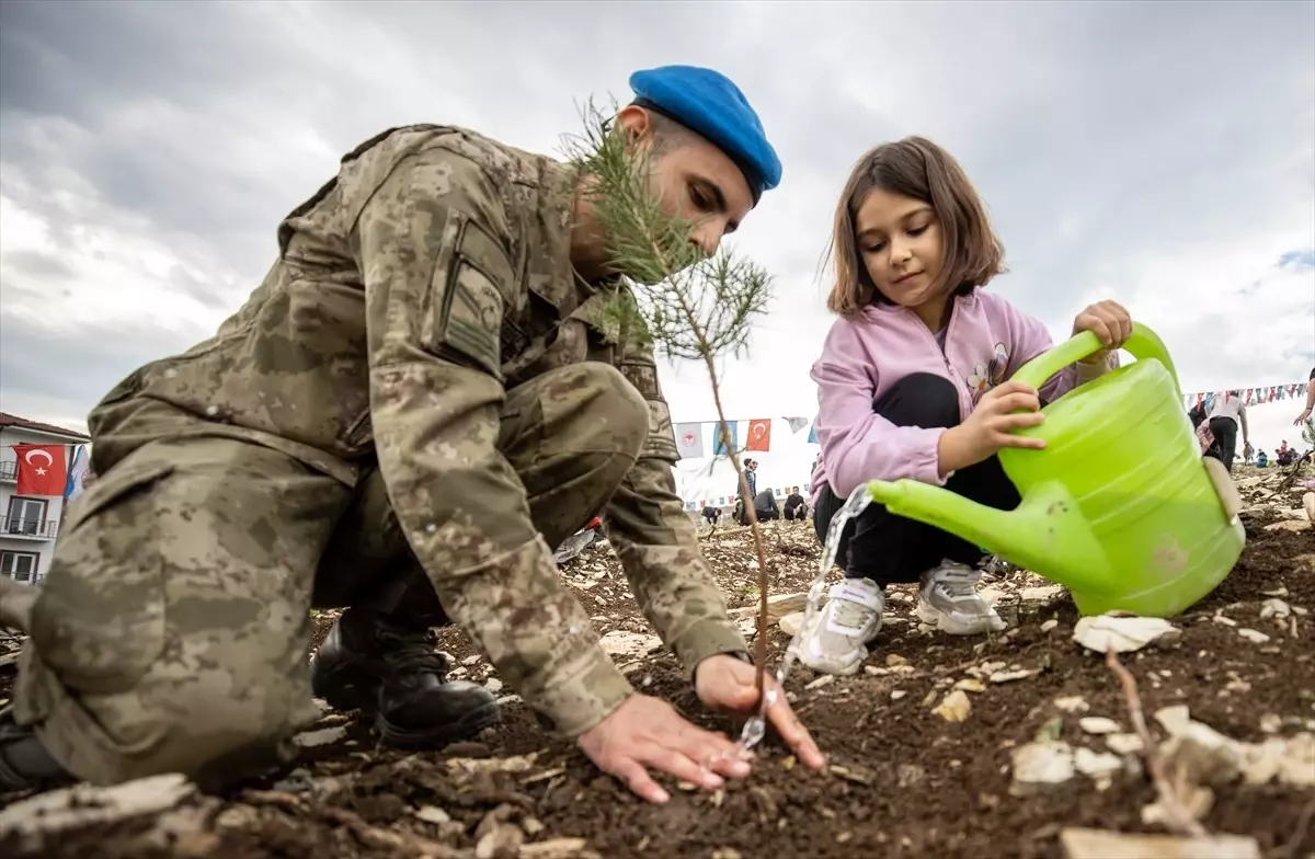 Sakarya ve çevre illerde on binlerce fidan toprakla buluştu