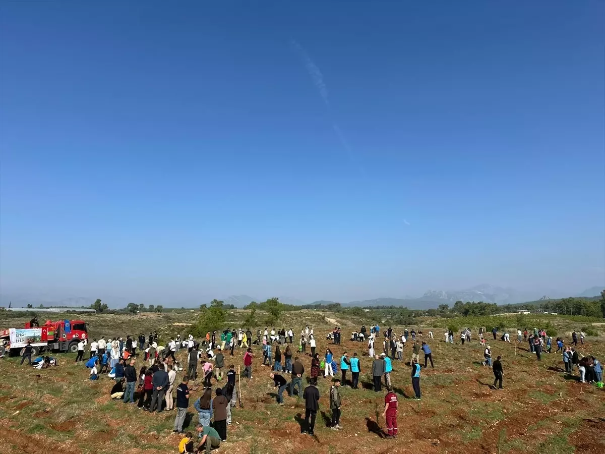 Serik\'te Ağaçlandırma Etkinliği