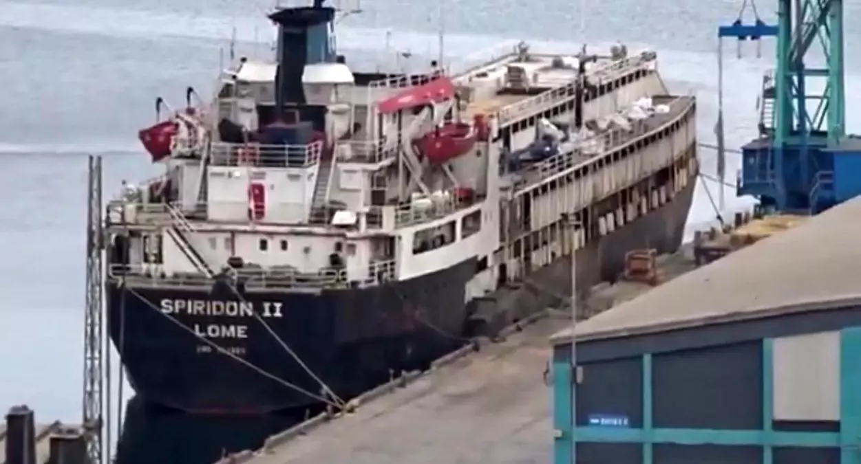 Bandırma açıklarında demirleyen gemide skandal: İnekler susuzluktan boruları yaladı