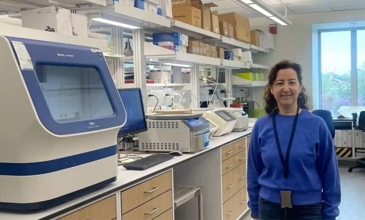 Talasemi Hastaları için Kan Nakli Güvenliği Artırıldı