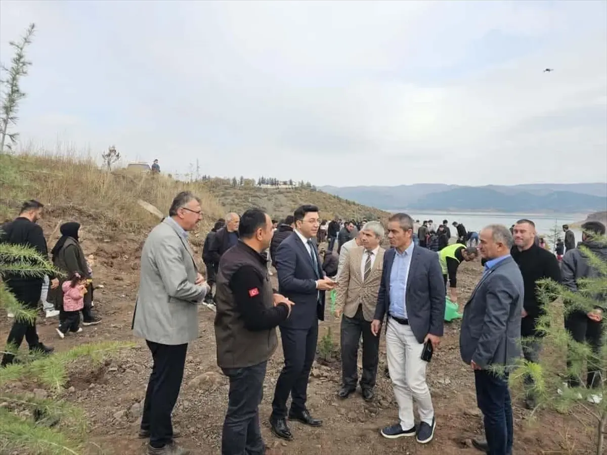 Tokat\'ta Fidan Dikimi Etkinliği