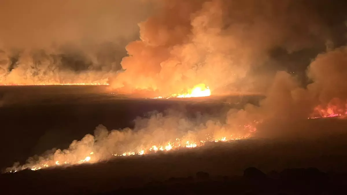 Yüksekova\'da Yangın: Nehil Sazlığı Tehdit Altında