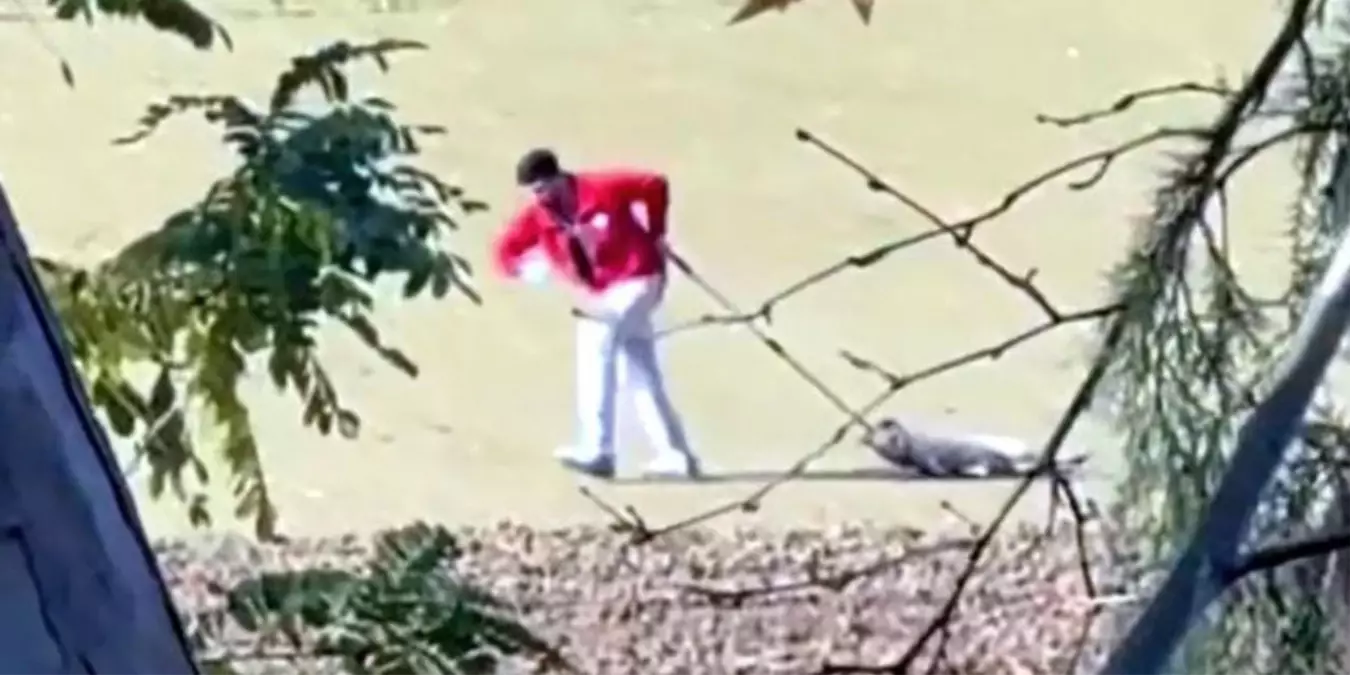 Edirne\'de köpeğe eziyet eden belediye personeli gözaltına alındı