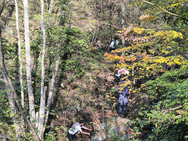 Kayıp annenin cesedini kuzgunu takip eden vatandaşlar bulmuş Kayıp annenin cesedini kuzgunu takip eden vatandaşlar bulmuş