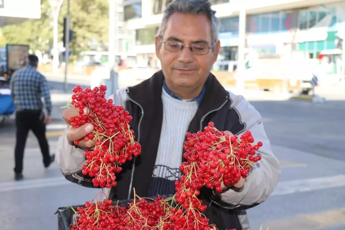 "Gençlik iksiri" tezgahlardaki yerini aldı! Faydaları saymakla bitmiyor