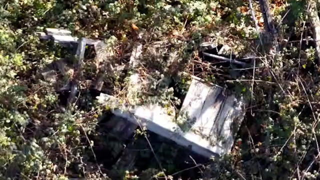 Kastamonu'da Anne ve Oğlunun Gizemli Ölümü: Hipotermi ve Şelale Düşüşü Üzerine İncelemeler Devam Ediyor Kastamonu'da Anne ve Oğlunun Gizemli Ölümü: Hipotermi ve Şelale Düşüşü Üzerine İncelemeler Devam Ediyor