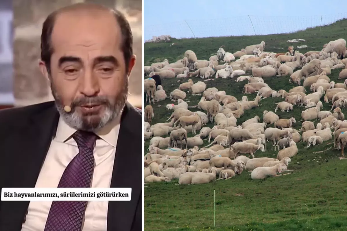 Şehit mezarının yeri, koyun sürüsünün garip davranışıyla fark edildi: O alanı kazınca...