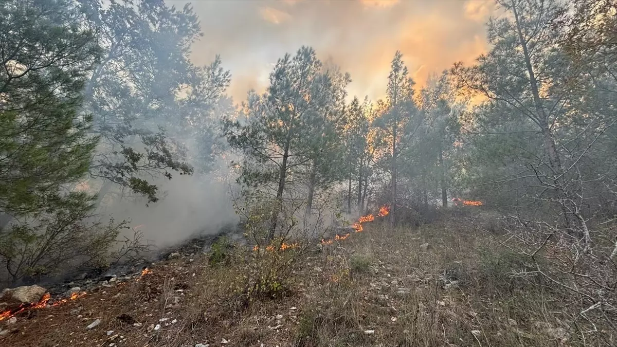 Bozyazı\'da örtü yangını kontrol altına alındı