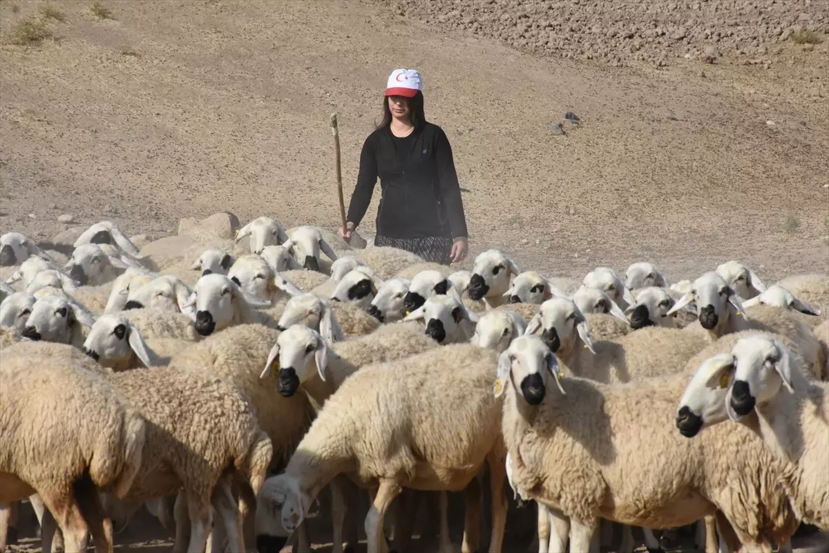 Kadın Besicinin Başarısı