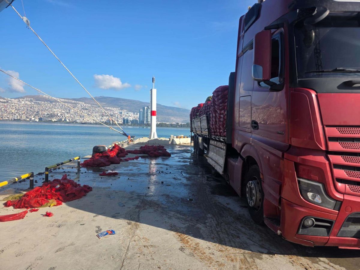 İzmir\'de 27 Ton Yasa Dışı Kara Midye Ele Geçirildi
