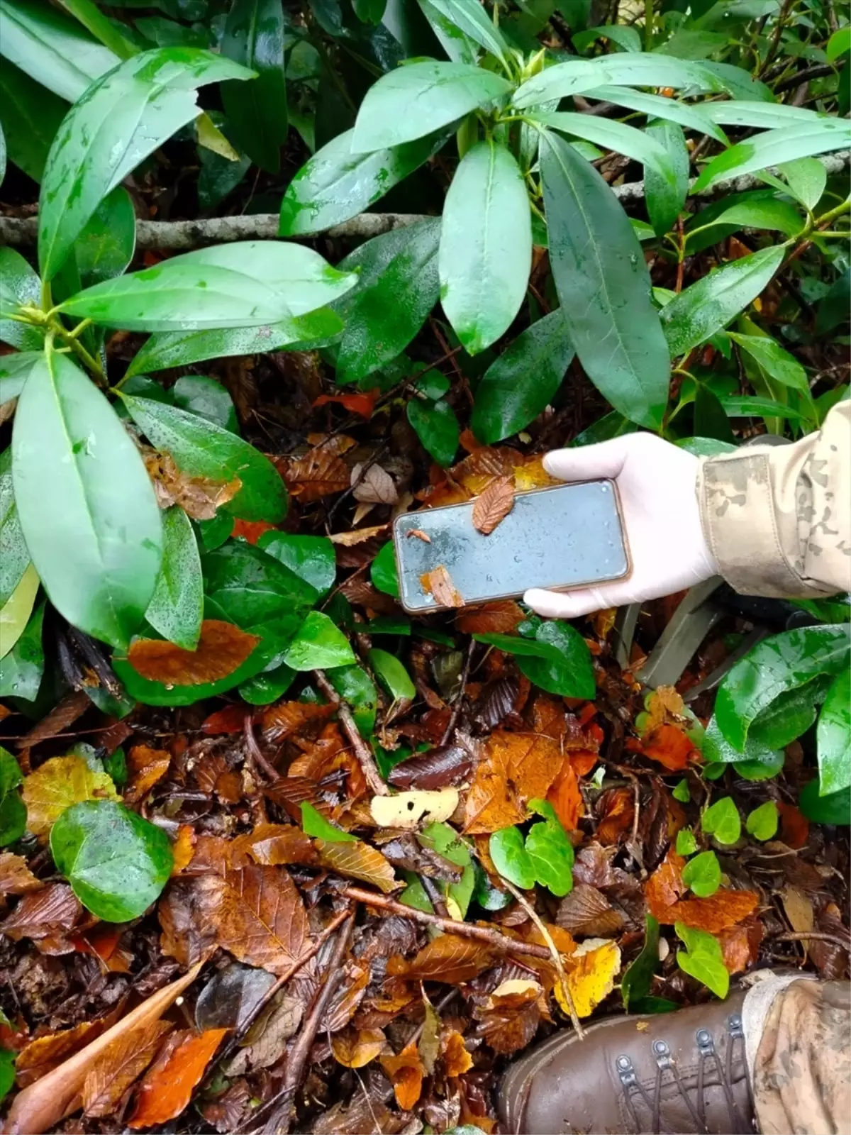 Kaybolan Kadının Cep Telefonu Bulundu