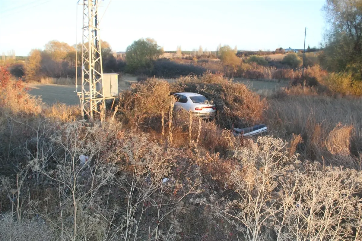 Beyşehir\'de Otomobil Devrildi: 2 Yaralı