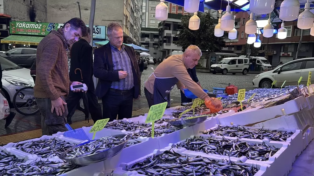 Rize\'de Hamsi Fiyatları Uygun