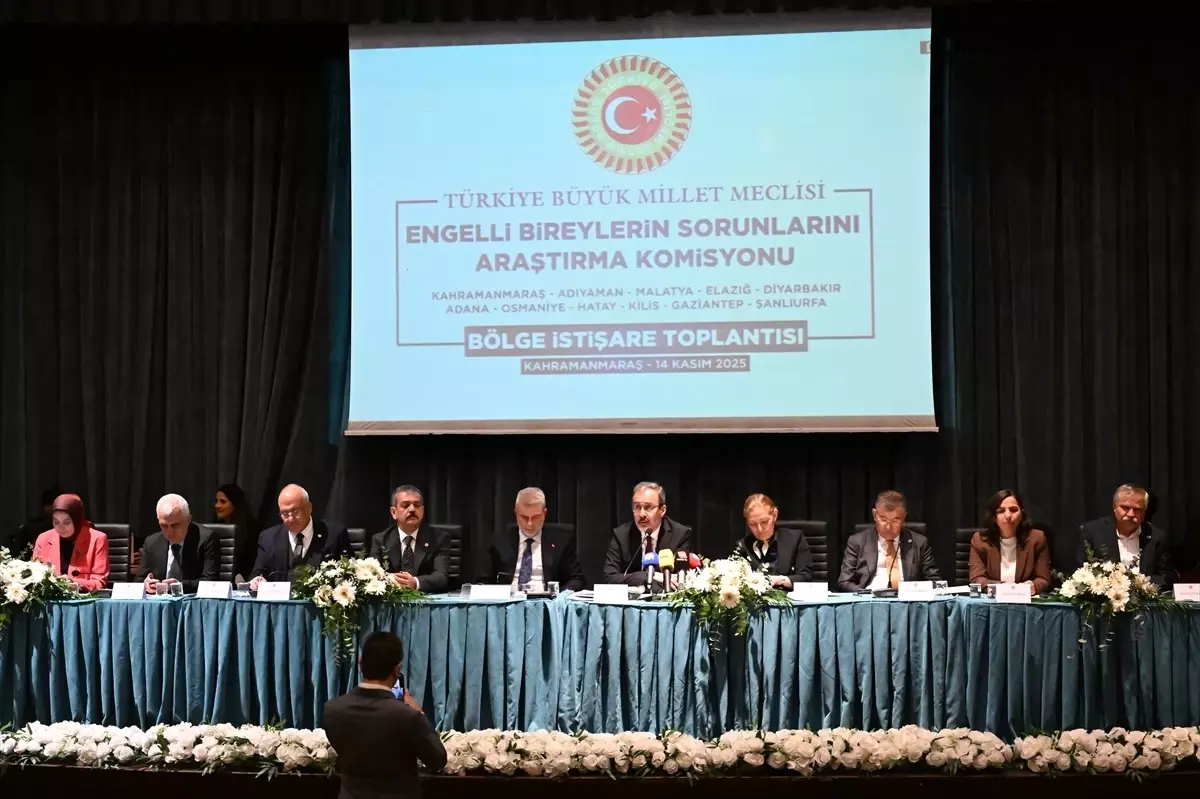 Engellilerin Sorunları Parlamento Gündeminde