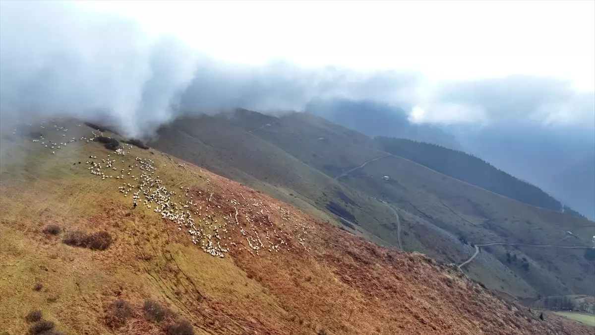 Saveriksa Yaylası\'nda Sonbahar Renkleri