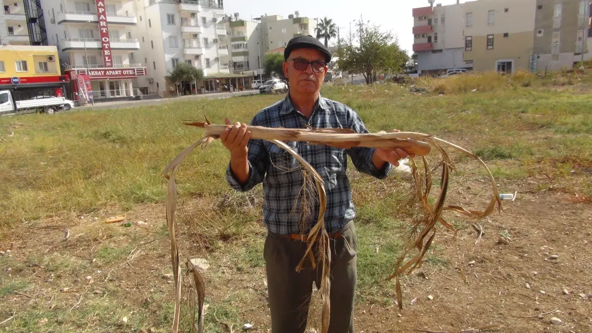 Su bulunca elektrik çarpmışa dönüyor: Ben yapmıyorum Cenabıallah\'ın işi