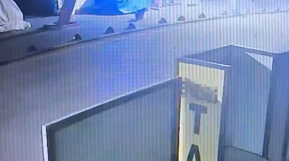 Emekli astsubay, sokak köpeğini tabancayla vurdu