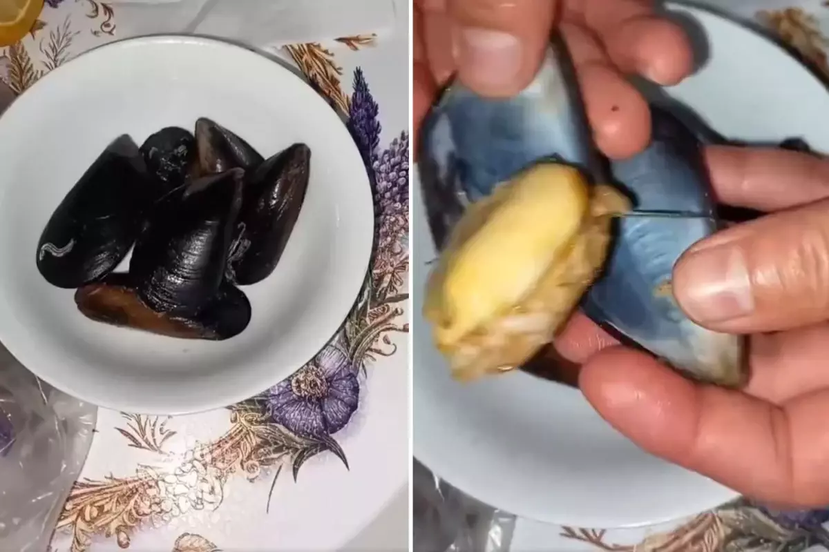 İnsanlara ne yediriyorlar? Midyeye tövbe ettirecek görüntü