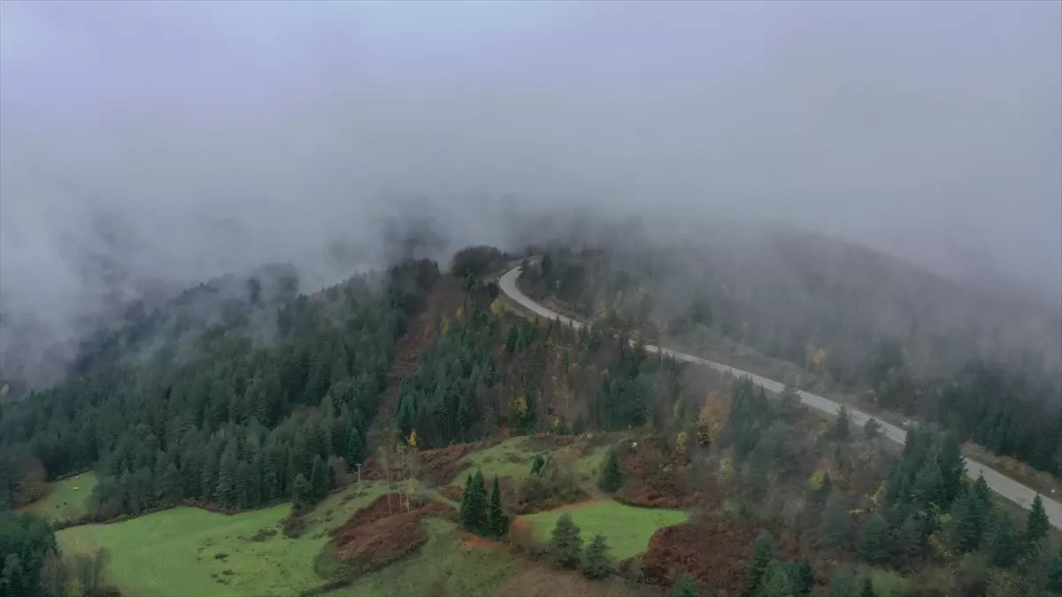 Kastamonu\'da Sonbahar ve Sis Güzelliği