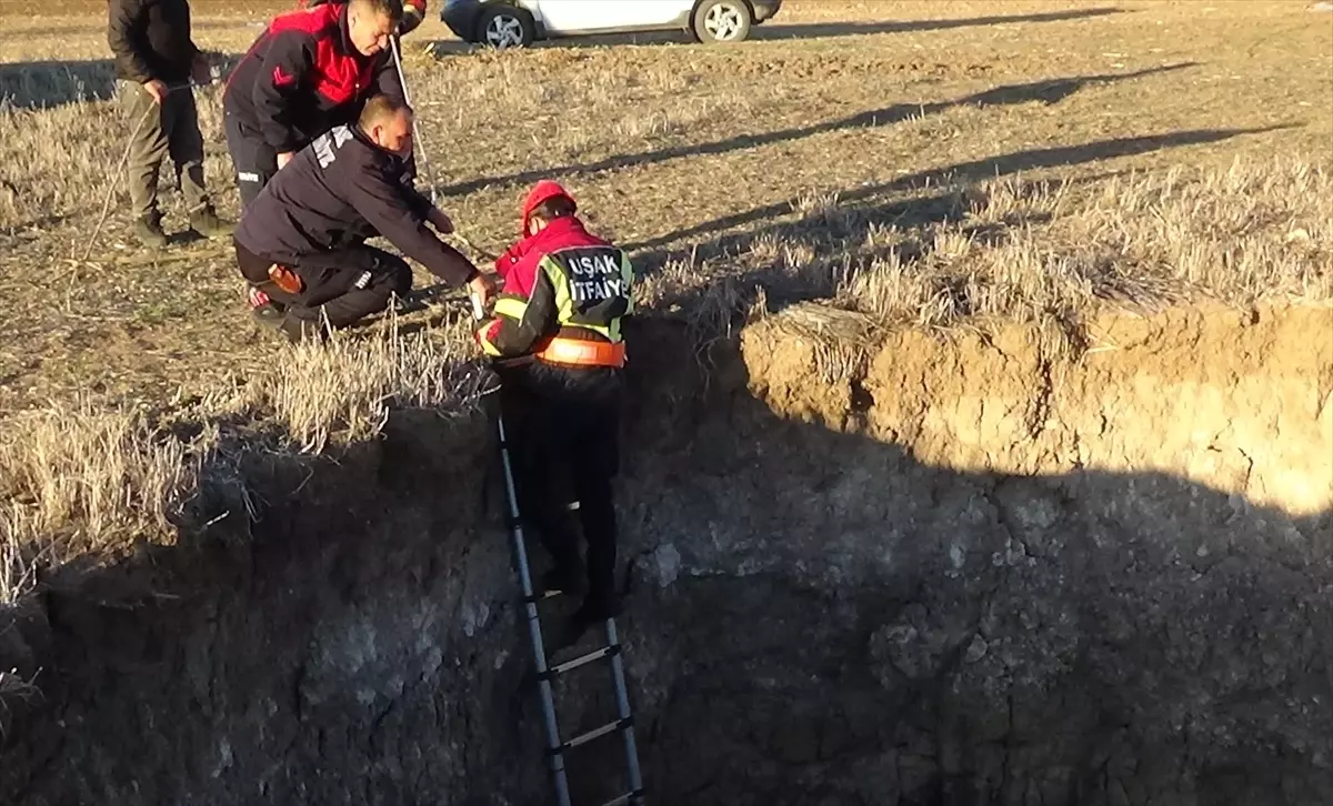 Kuyuya Düşen Keçi Kurtarıldı