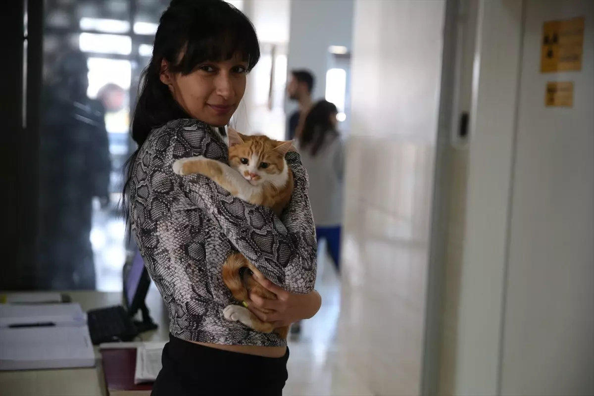 Dicle Üniversitesi\'nde Hayvanların Ağız Sağlığına Önem