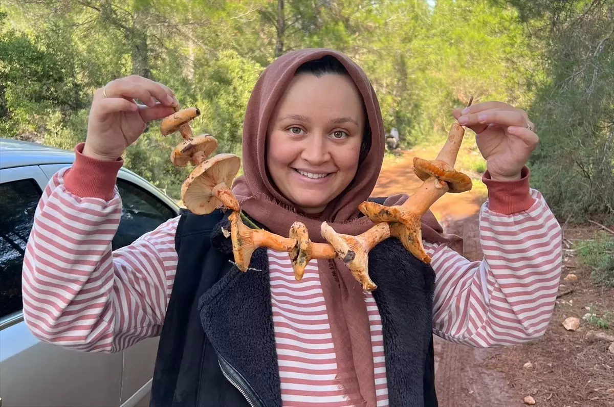 Kaş\'ta Mantar Seferberliği