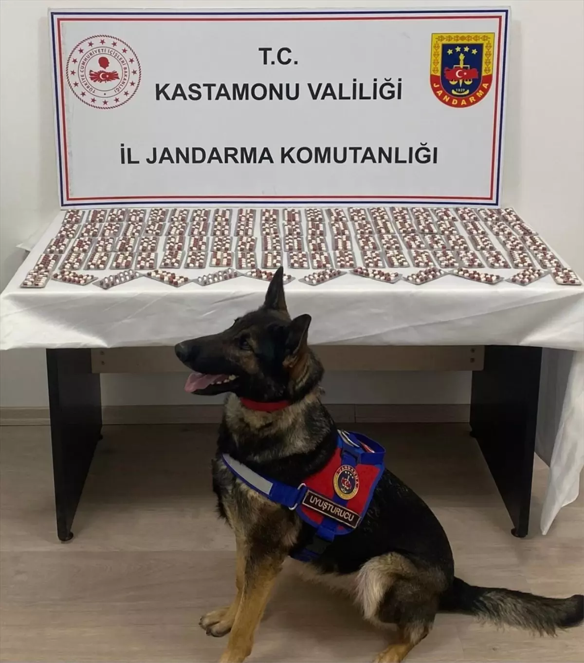 Tosya\'da 1344 Uyuşturucu Hapla Yakalanan Şüpheli Tutuklandı