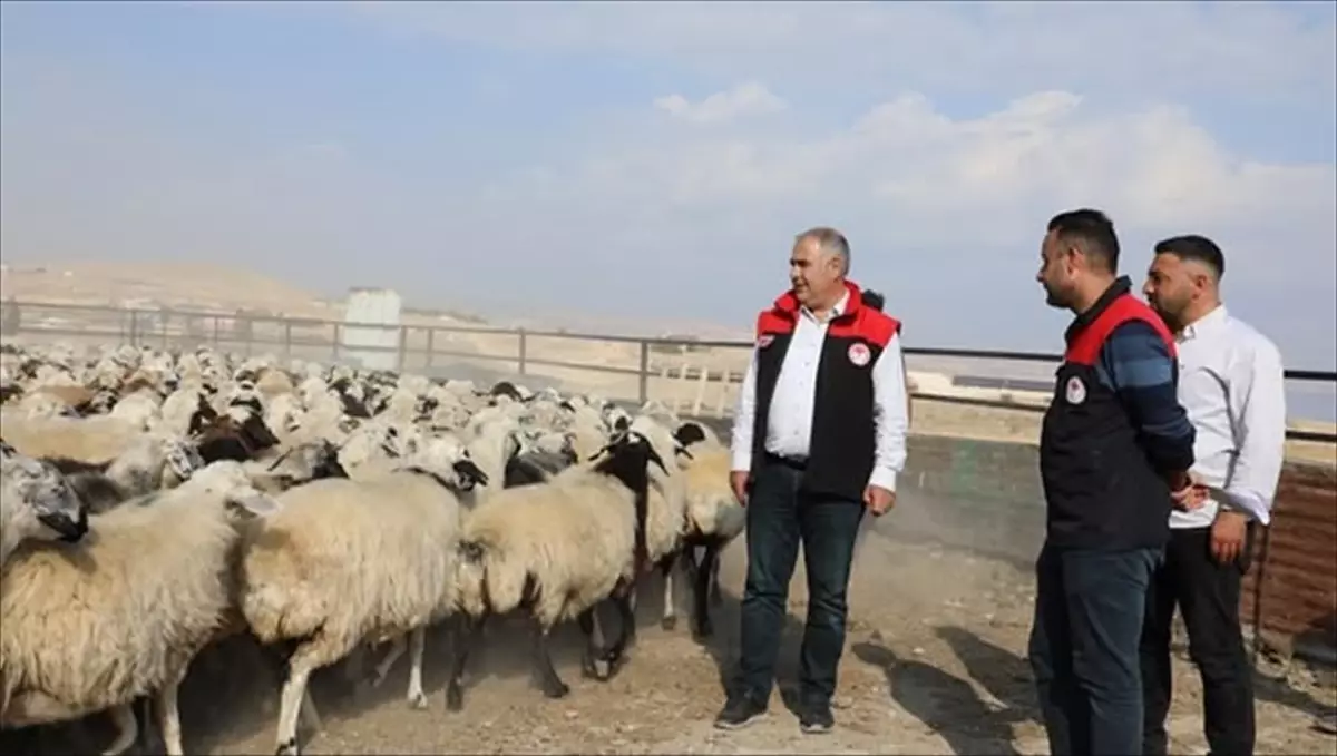 Elazığ\'da Modern Küçükbaş Ağıl Projesi Tamamlandı