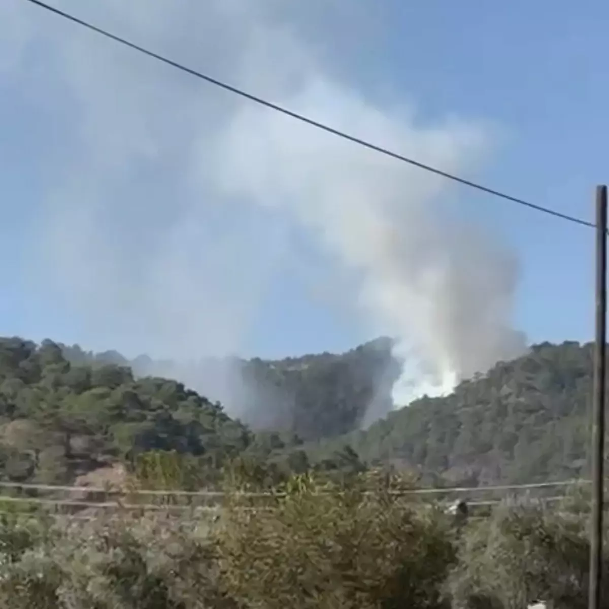 Muğla\'da Orman Yangını