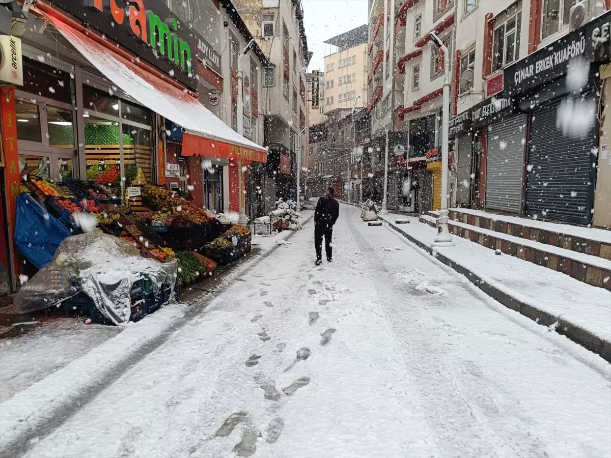 Van ve Çevresinde Kar Yağışı Etkili Oldu