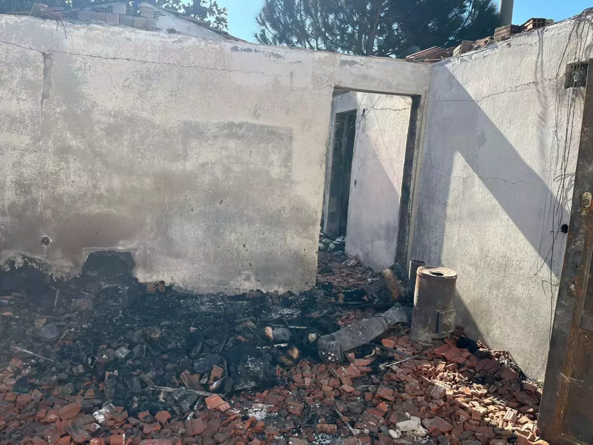 Menemen\'de Yangın Faciası: 30 Kedi ile Sahibi Hayatını Kaybetti