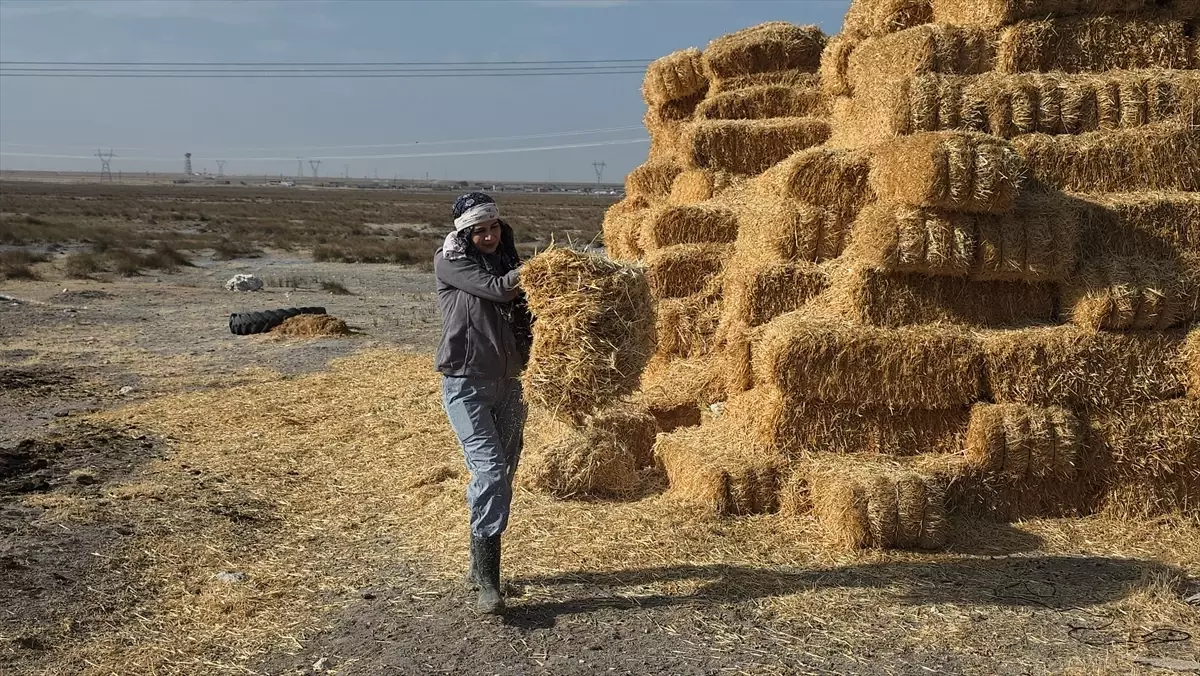 Genç Çiftçi Ayşe\'nin Tarıma Adanmış Hayatı