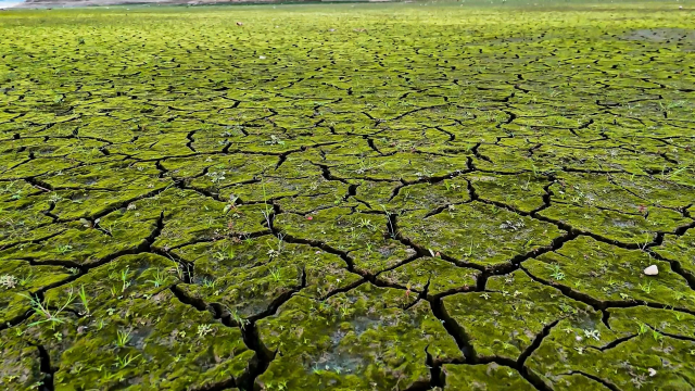 İstanbul için kıyamet senaryosu: Bu şekilde yaza girersek felaket olur İstanbul için kıyamet senaryosu: Bu şekilde yaza girersek felaket olur