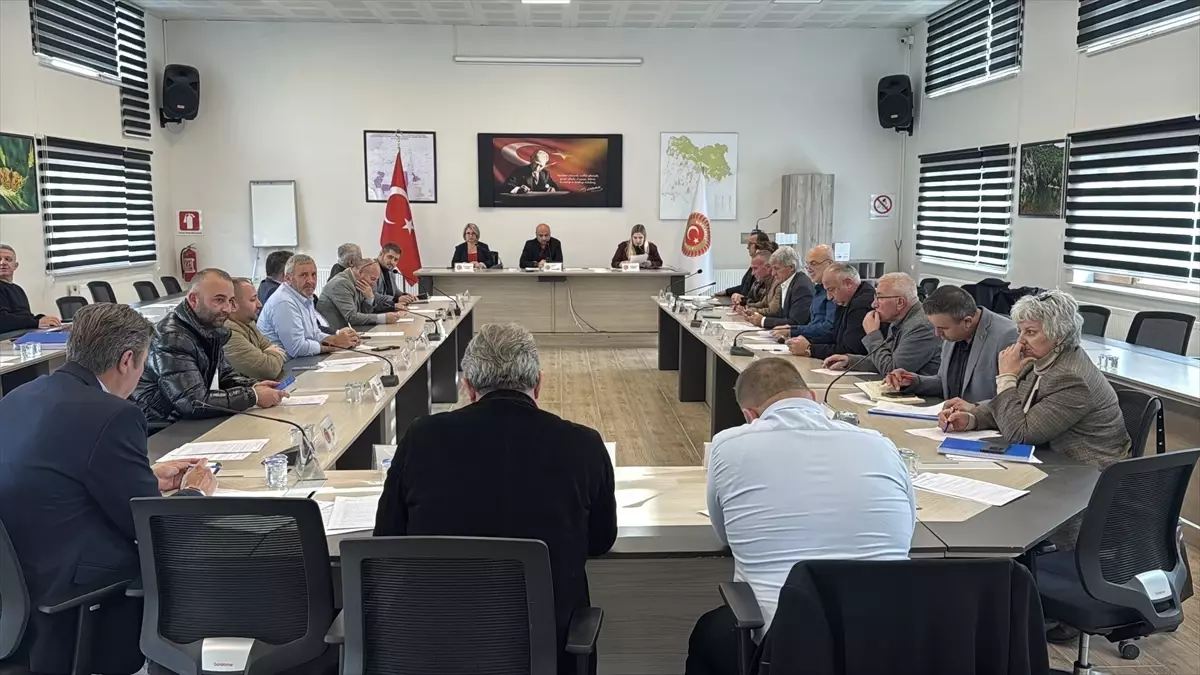 Kırklareli\'de Dozer Alımına Ödenek Onayı