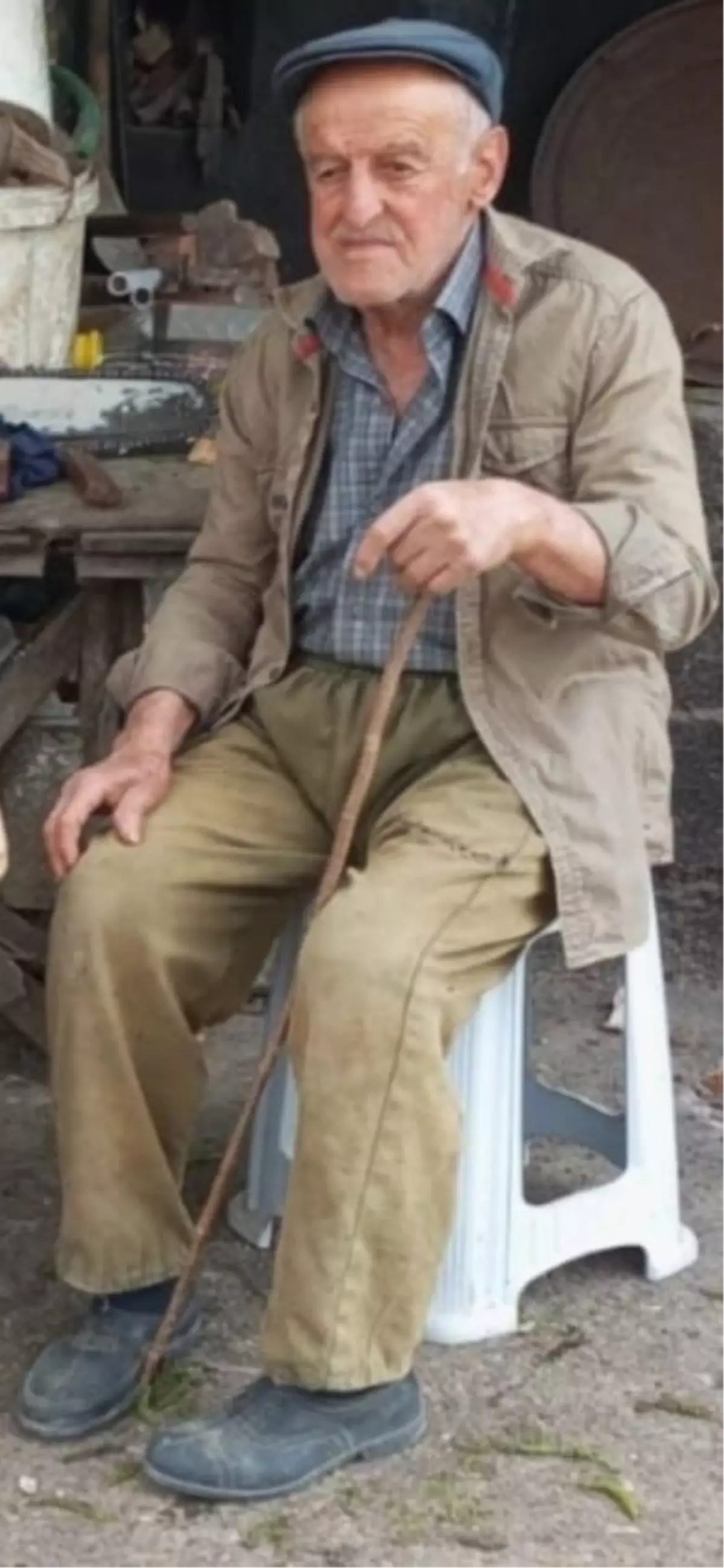 Bolu\'da Mantar Toplayan Adam Ölü Bulundu