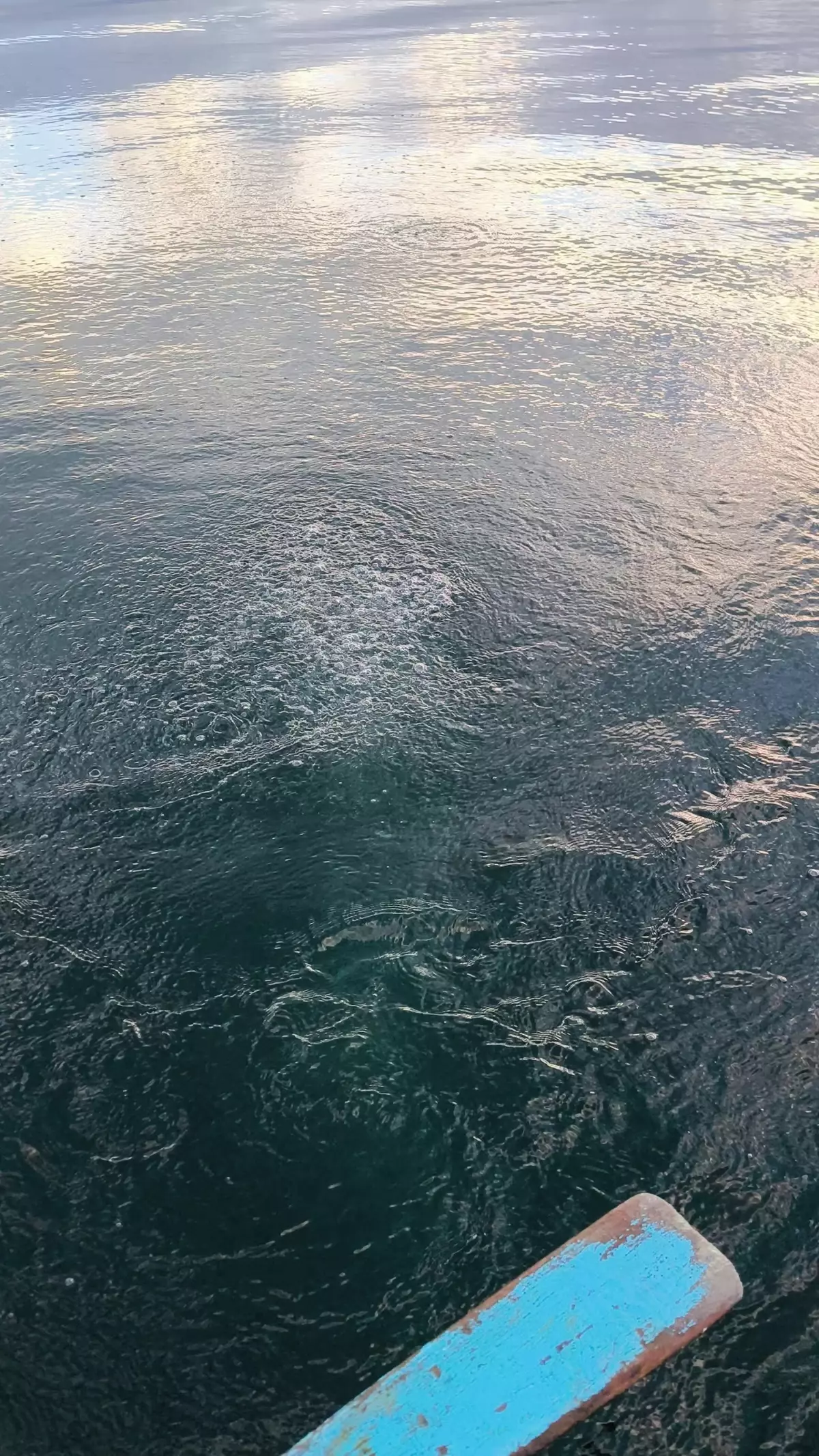 Bir şehrimiz, sudaki esrarengiz görüntüyü konuşuyor: Bayağı kaynıyor