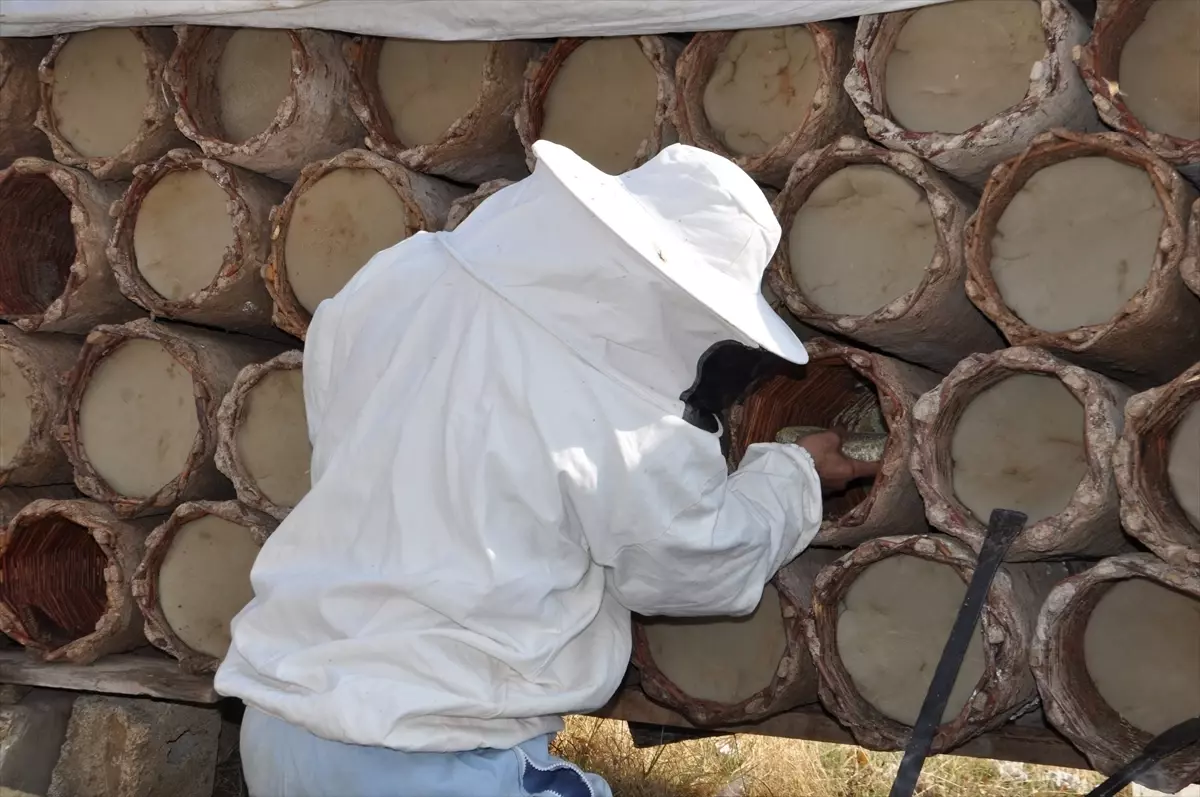 Hizan\'da Kara Kovan Balı Hasadı Devam Ediyor