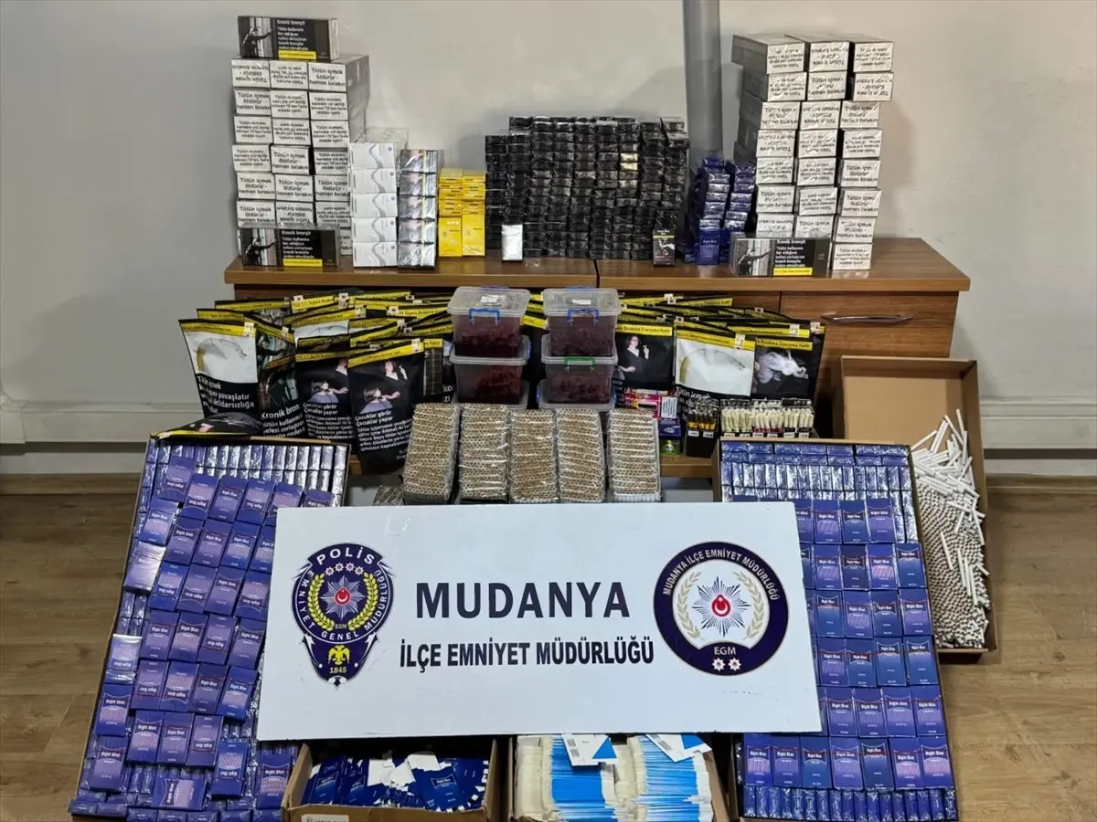 Mudanya\'da Kaçak Tütün Operasyonu