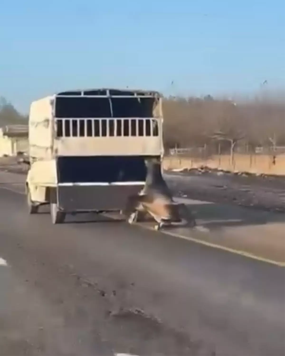 Kamyonetin arkasına bağladığı atı dakikalarca sürükledi